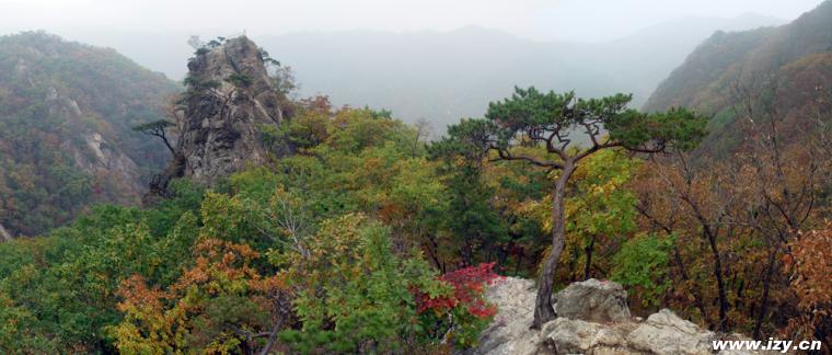 药山(图1)