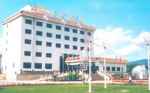 西洋集团(图1) 西洋集团(图1)