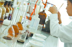 远东酱油&nbsp;瓜分欧盟市场(图1)