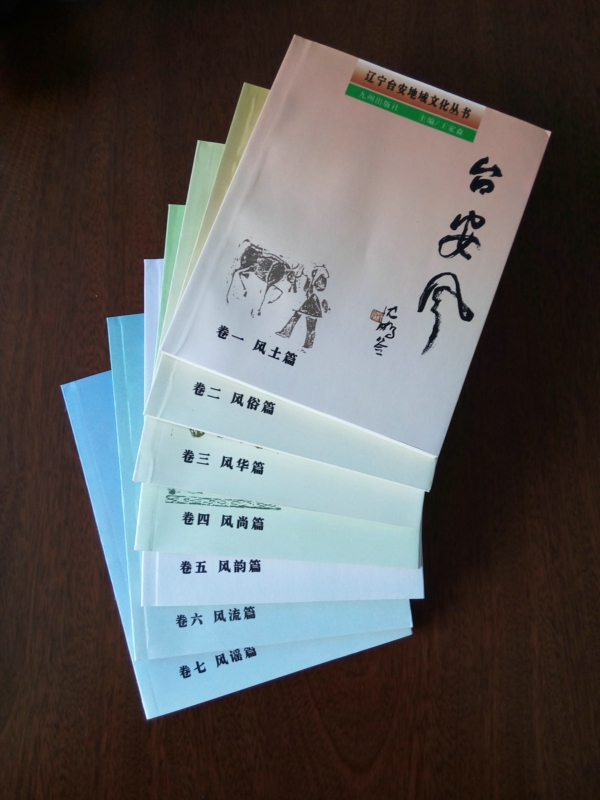 《台安风》简介(图1)